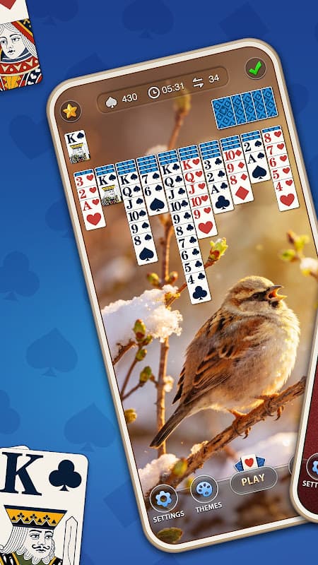 Daily Spider Solitaire Classic screenshot 2