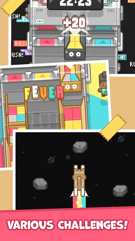Box It Up! Inc. screenshot 3