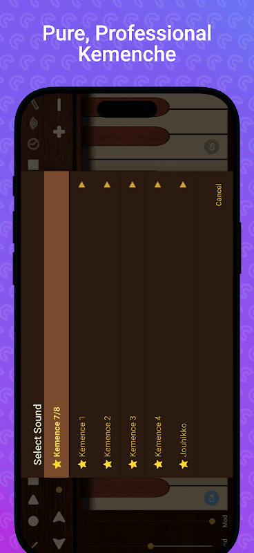 Professional Kemenche screenshot 6