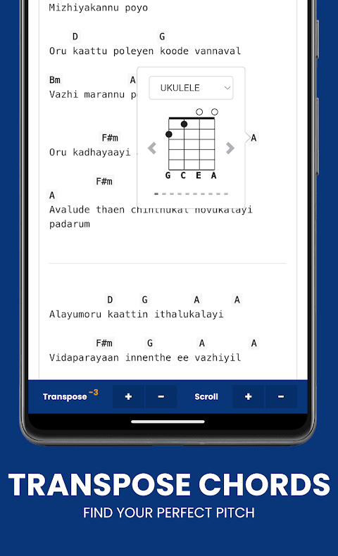 Naadan Chords: Guitar Chords screenshot 5
