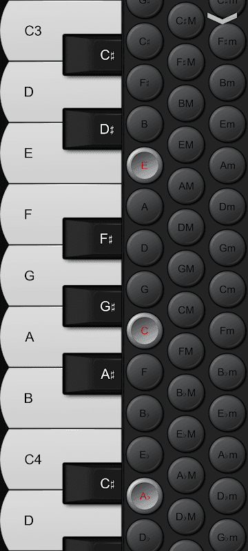 Piano Accordion screenshot 2