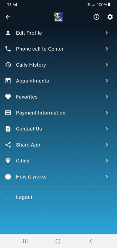 TAXI 18300 screenshot 3