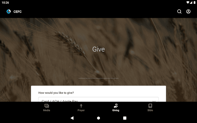 CEFC Church screenshot 6