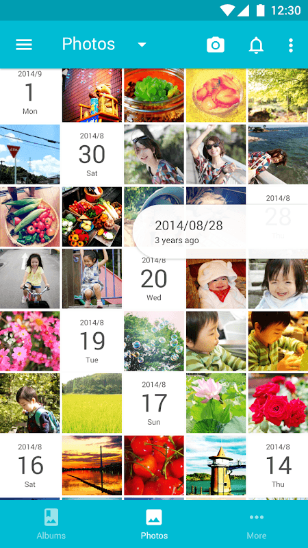 Scene: Organize & Share Photos screenshot 1