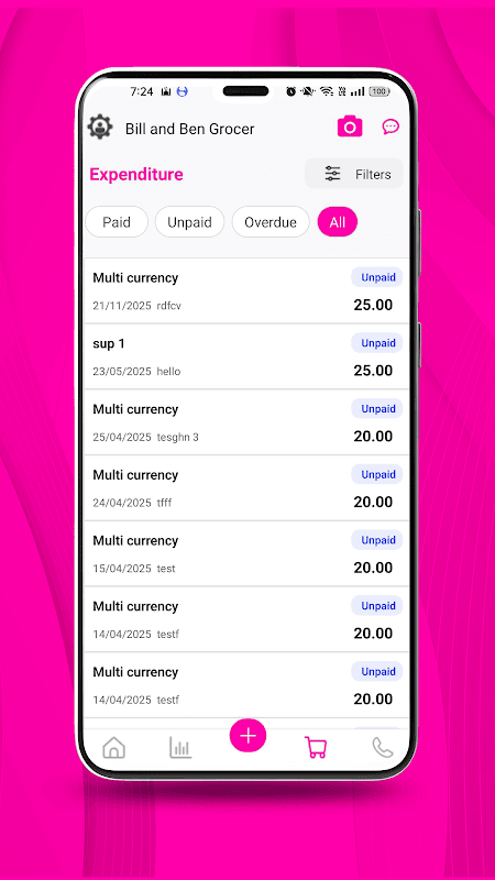dns accounting screenshot 5