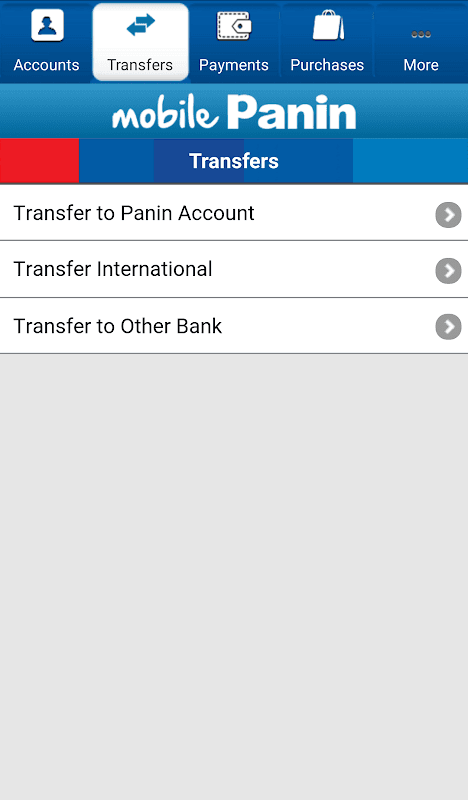 MobilePanin screenshot 2