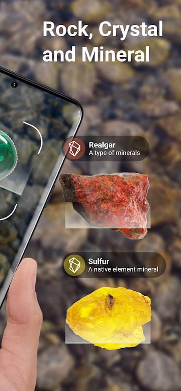 Rock Identifier: Stone ID screenshot 2