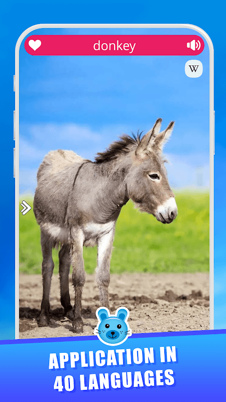 Animal Sounds screenshot 3