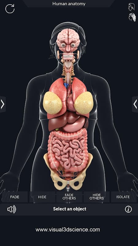Organs Anatomy Pro. screenshot 5