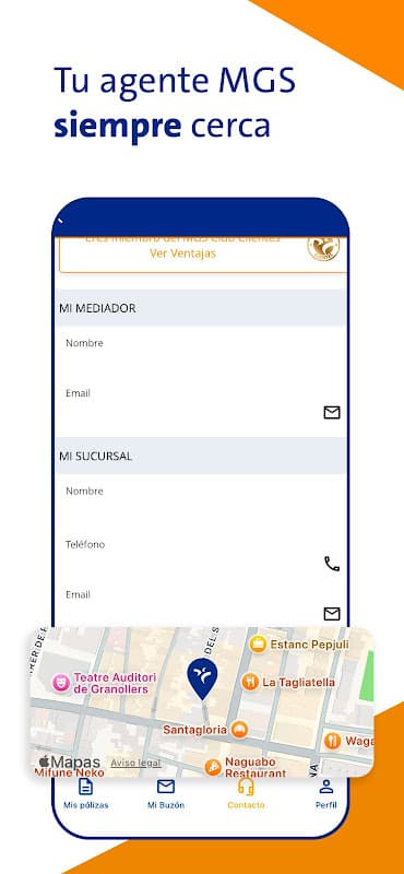 MGS Seguros screenshot 3
