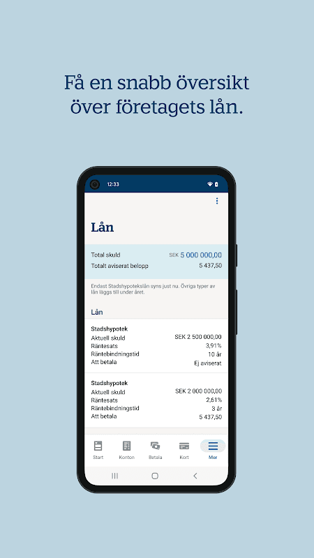 Handelsbanken SE – Företag screenshot 6