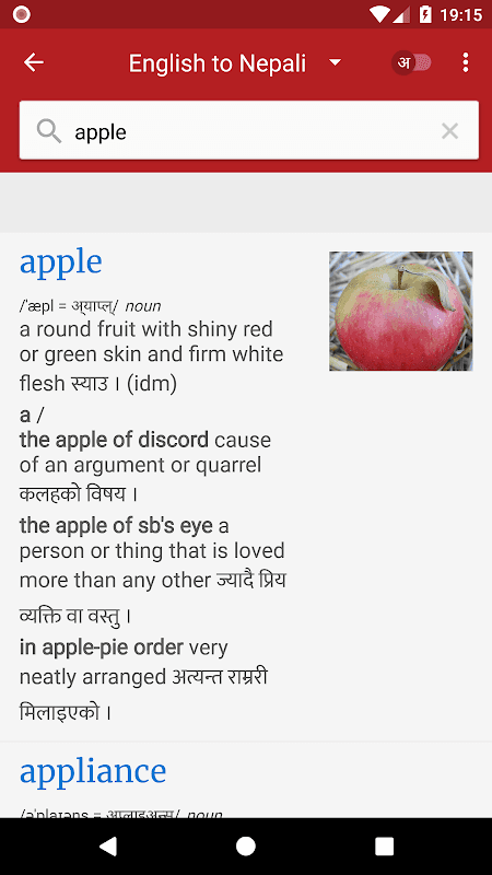 Nepali Dictionary - Offline screenshot 6