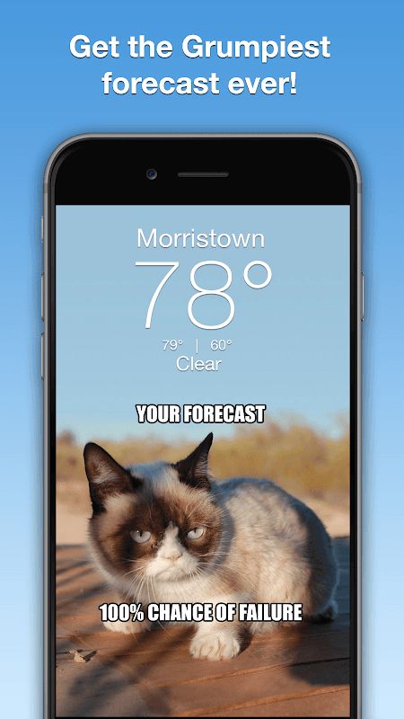 Grumpy Cat Weather screenshot 1
