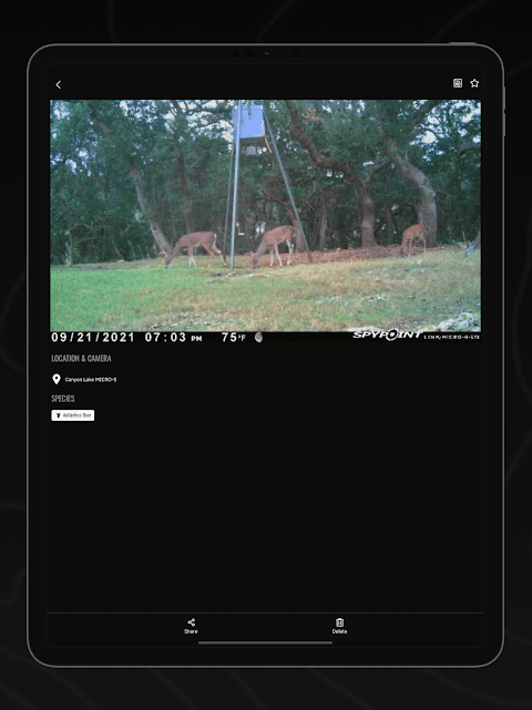 SPYPOINT screenshot 6
