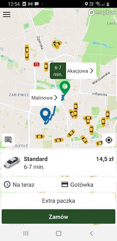 Taxi Zielone screenshot 1