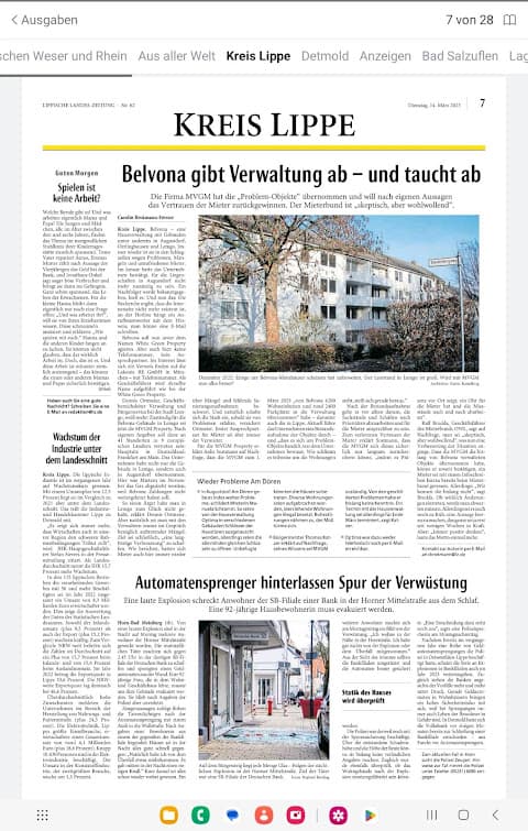 LZ ePaper screenshot 5
