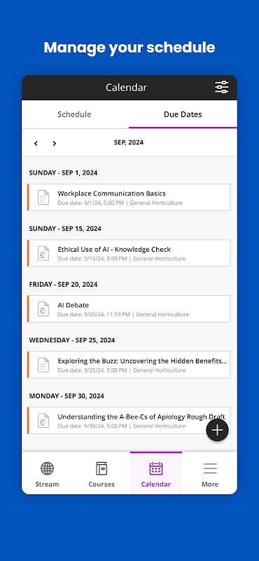 Blackboard screenshot 5