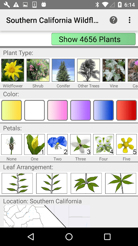 South California Wildflowers screenshot 1