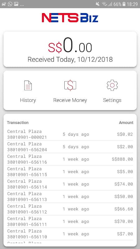 NETSBiz screenshot 2