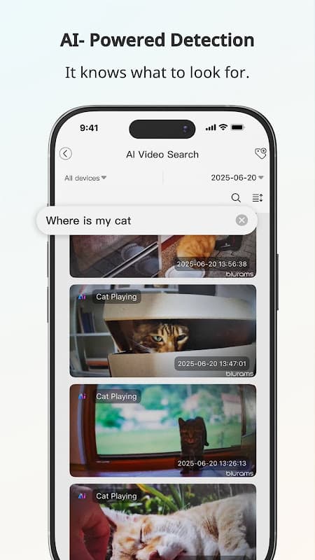 blurams screenshot 5