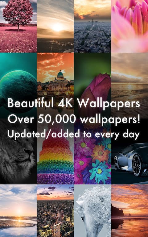 Beautiful HD Wallpapers screenshot 6