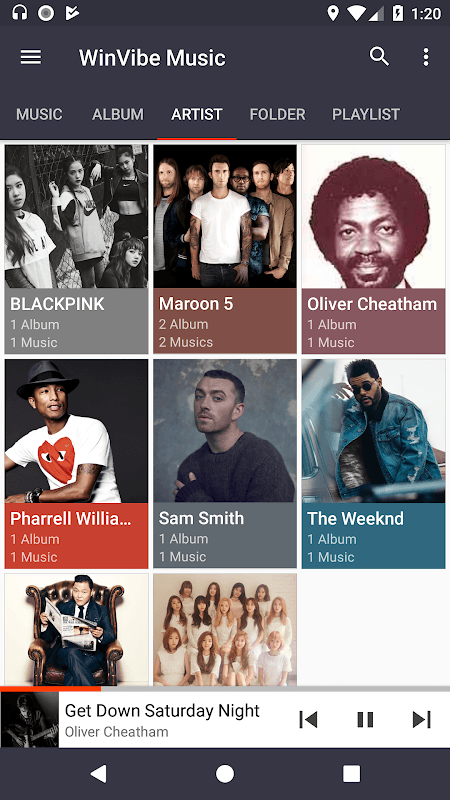 WinVibe Music Player screenshot 6