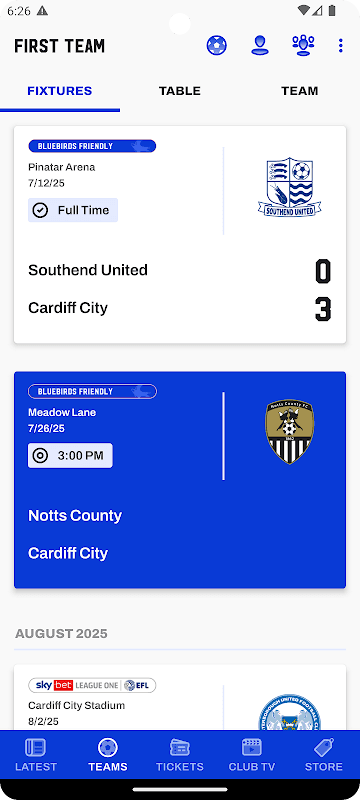 Cardiff City screenshot 1