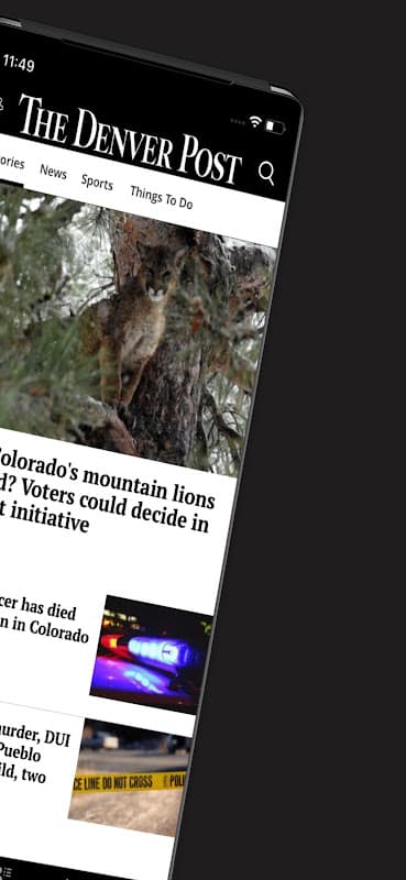 The Denver Post screenshot 2