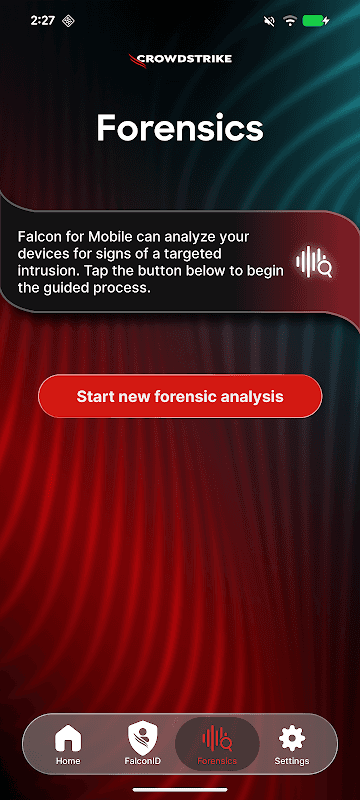 CrowdStrike Falcon screenshot 2
