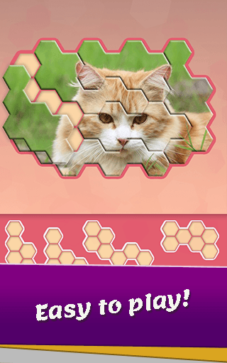 Animal Hexa Puzzle screenshot 2