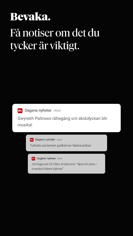 Dagens Nyheter screenshot 4