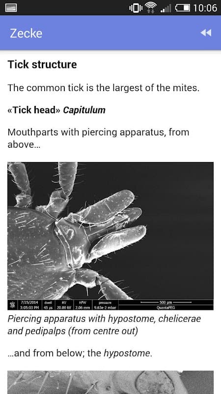 Tick screenshot 6