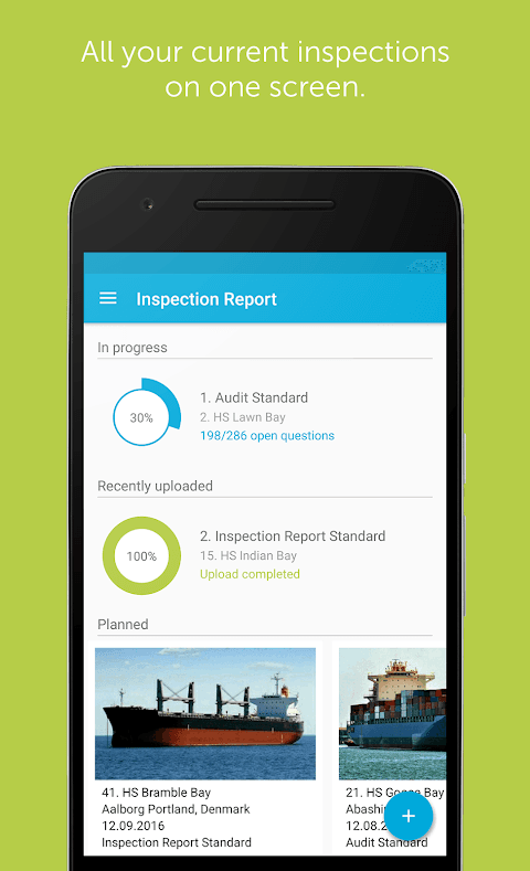 Inspection Report screenshot 1