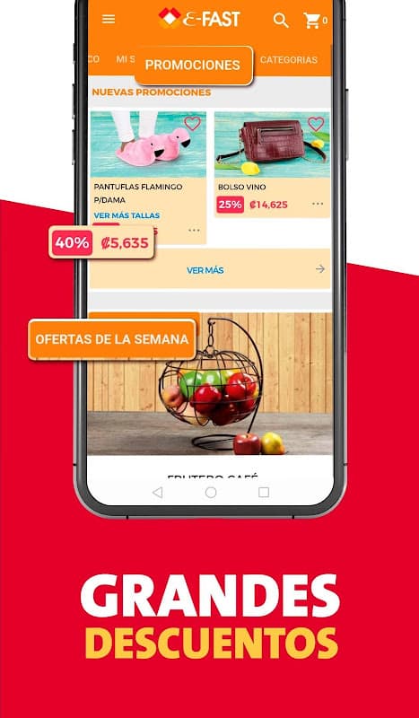 E-Fast screenshot 5