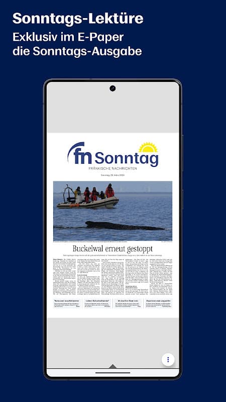 FN-E-Paper screenshot 5
