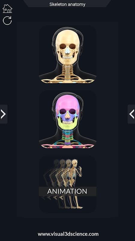 Skeleton Anatomy Pro. screenshot 1