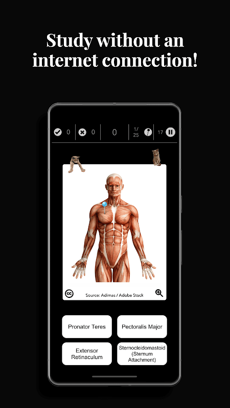 Anatomist - Anatomy Quiz Game screenshot 3