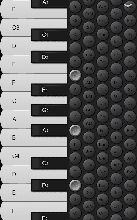 Piano Accordion screenshot 6