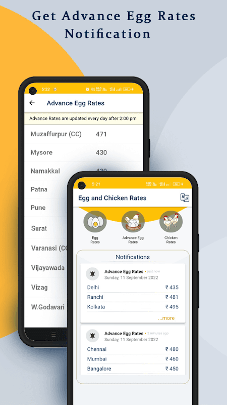 Egg Rates screenshot 4