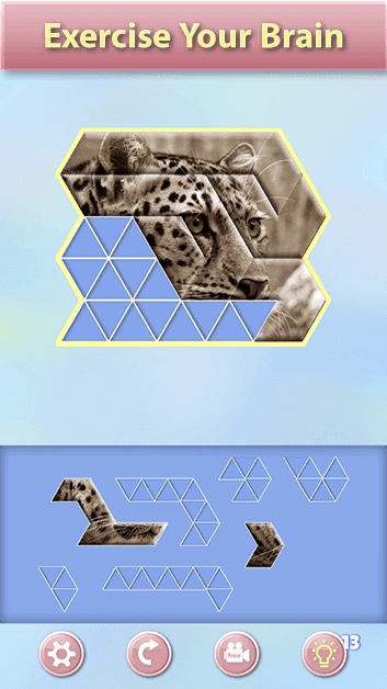 Triangle Puzzle Master screenshot 5