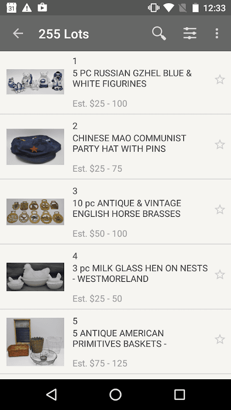 Charleston Auctions screenshot 2