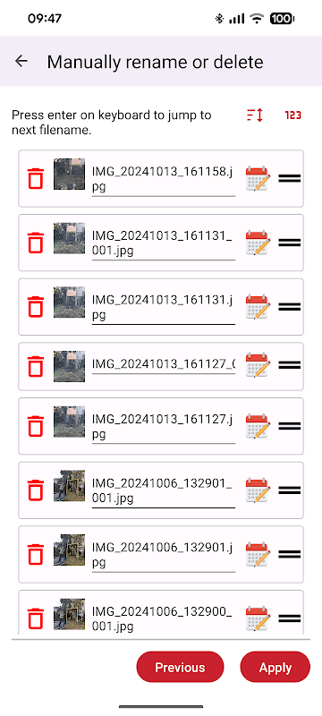 Rename & Organize with EXIF screenshot 5