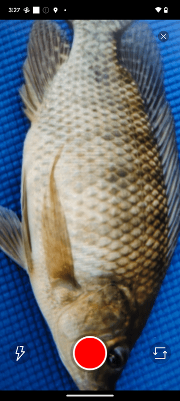 Keepnet Weigh Bay Fishing App screenshot 3