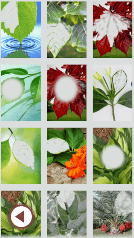 leaf photo frames, effects screenshot 2