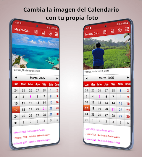 Mexico Calendario 2021 screenshot 6