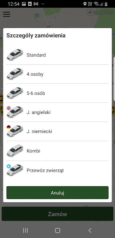 Taxi Zielone screenshot 4