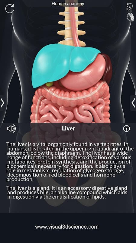 Organs Anatomy Pro. screenshot 3