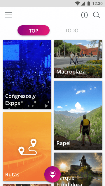 Pasaporte Nuevo León screenshot 2