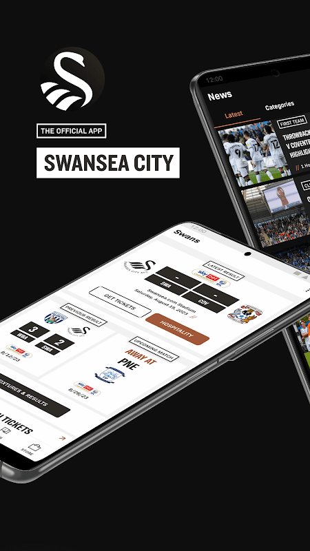 Swansea City screenshot 1