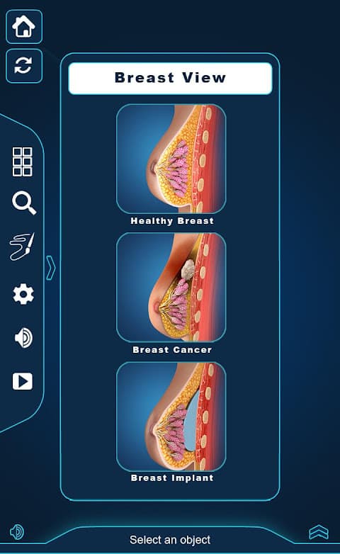 Breast Anatomy screenshot 2
